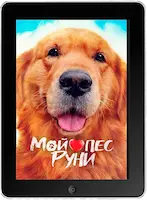 Мой пёс Руни